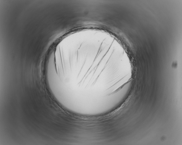 X0000116301261201001111110