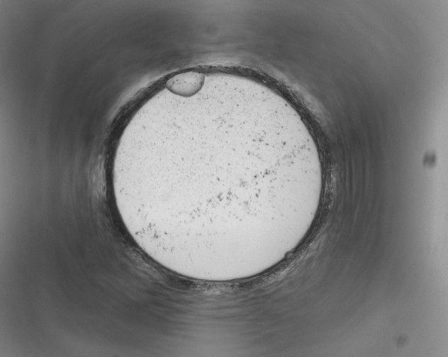 X0000116301262201001111110