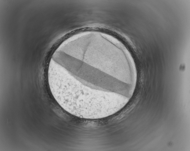 X0000116301263201001111110