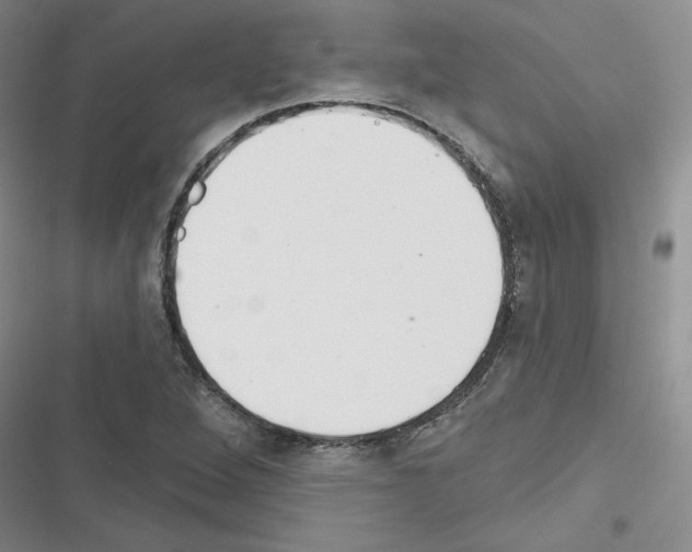 X0000116301264201001111110