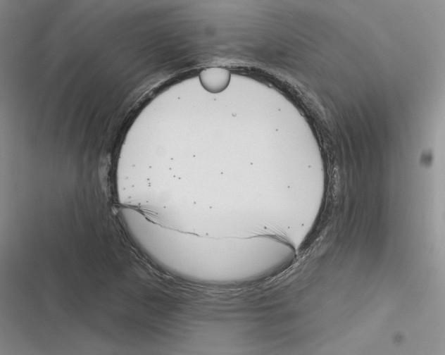 X0000116301265201001111110