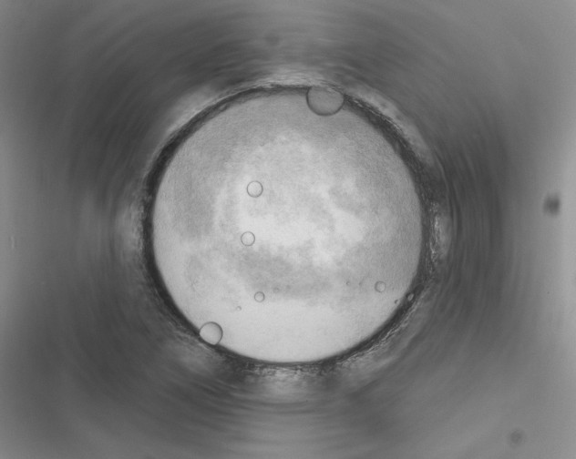 X0000116301266201001111110