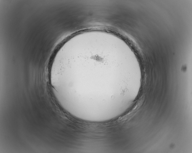 X0000116301267201001111110