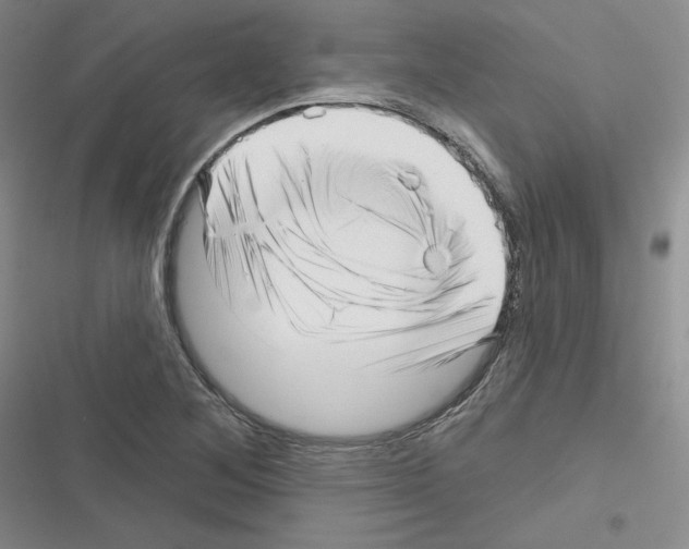 X0000116301268201001111110