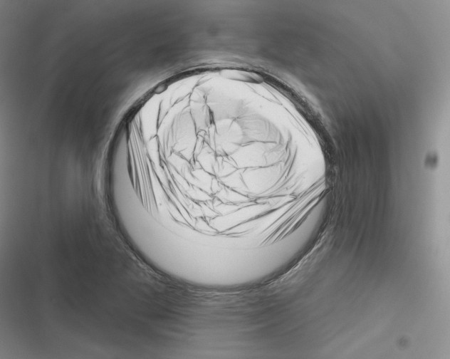 X0000116301269201001111110