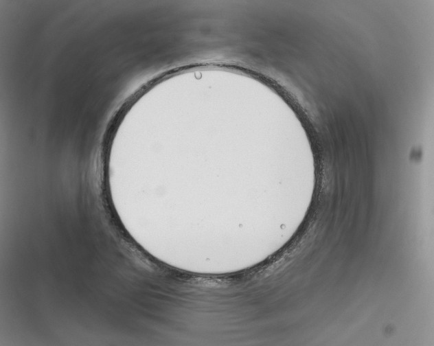 X0000116301270201001111110