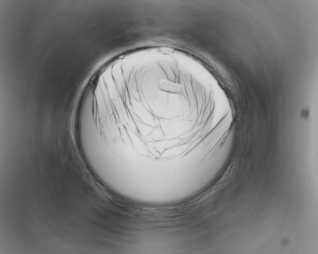 X0000116301272201001111110