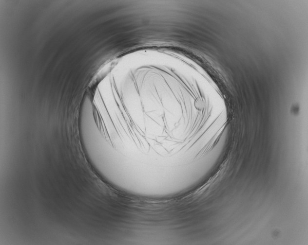 X0000116301273201001111110