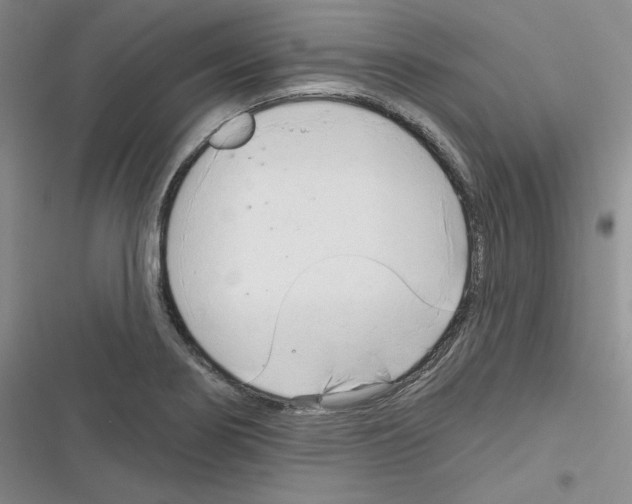 X0000116301274201001111110