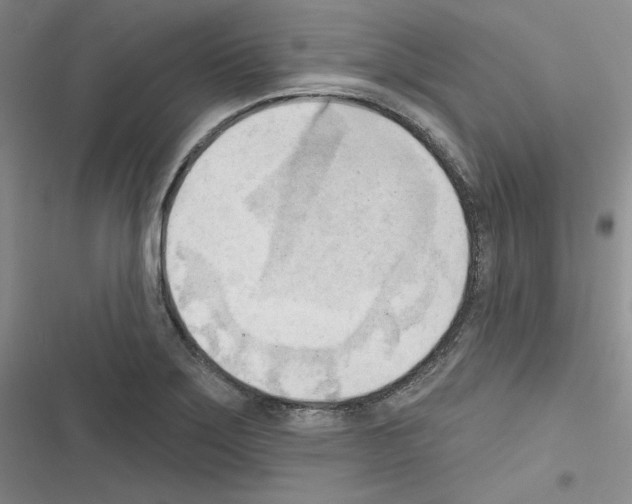 X0000116301275201001111110