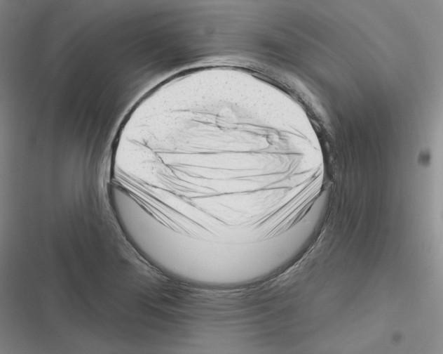 X0000116301276201001111110