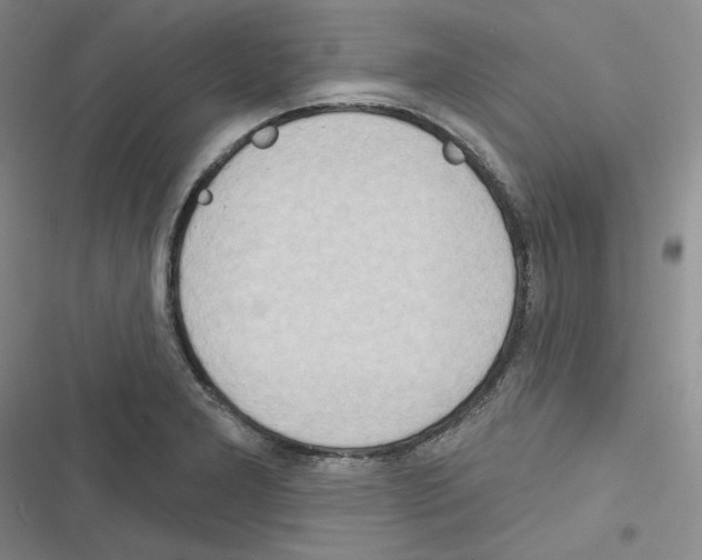 X0000116301277201001111110