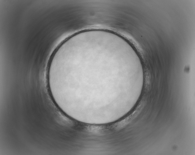 X0000116301278201001111110