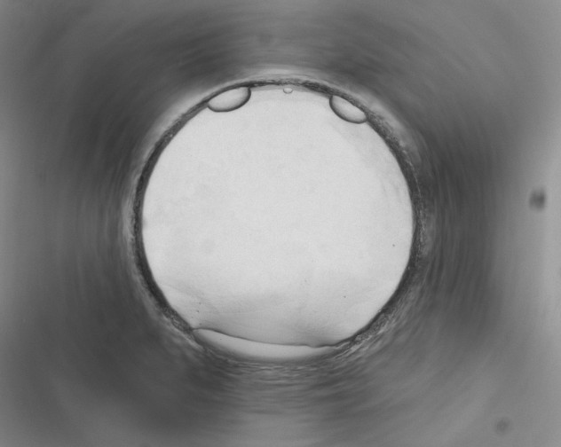 X0000116301279201001111110