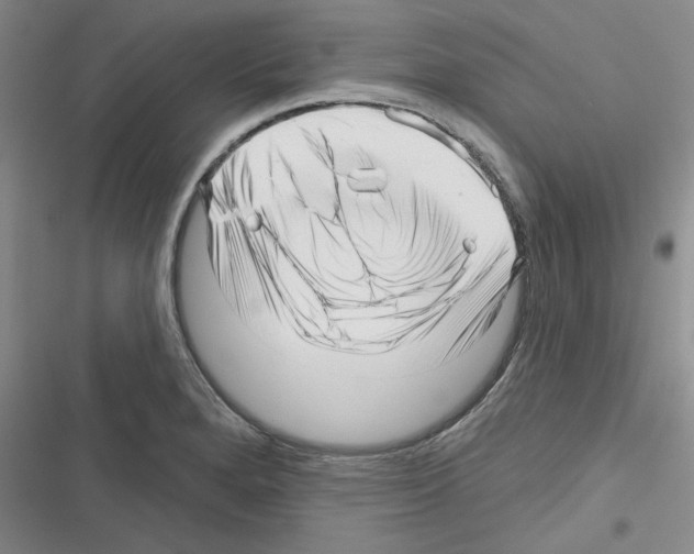 X0000116301280201001111110