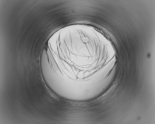 X0000116301281201001111110