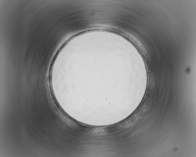 X0000116301283201001111110