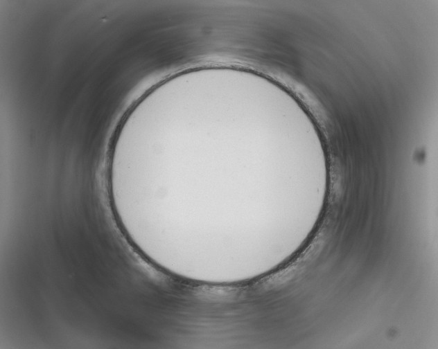 X0000116301286201001111110