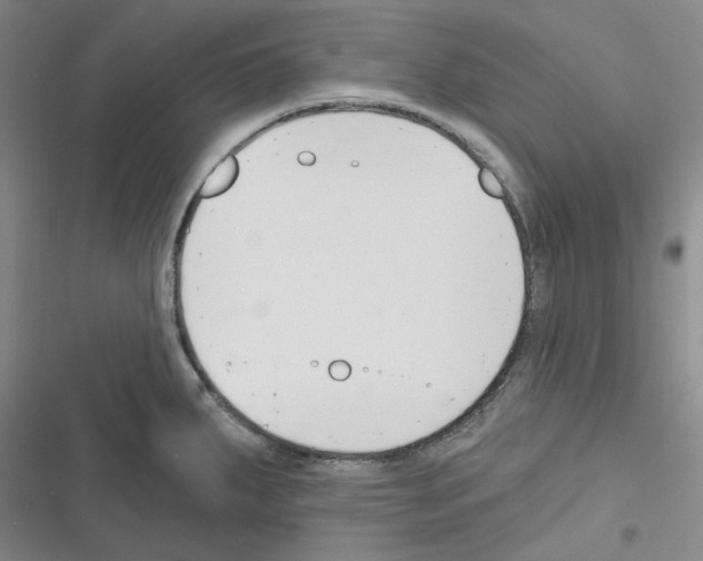 X0000116301287201001111110