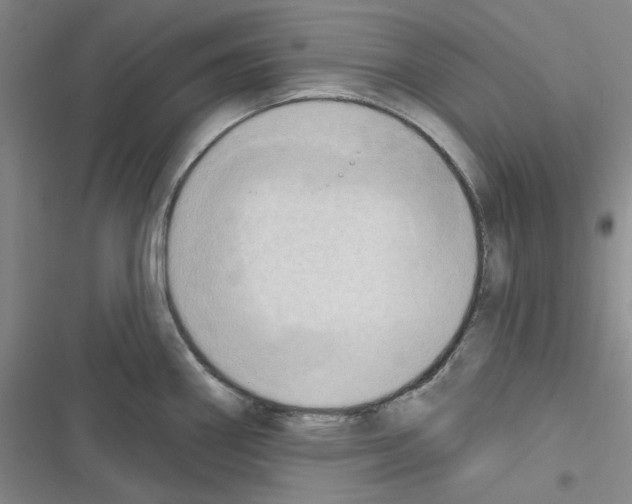 X0000116301290201001111109