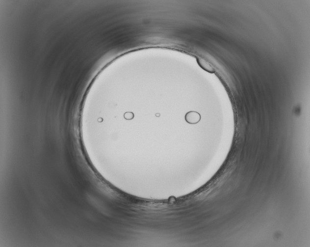 X0000116301291201001111109