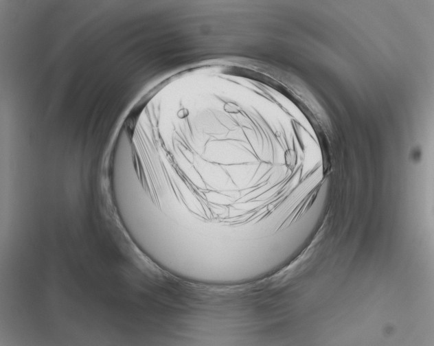 X0000116301292201001111109