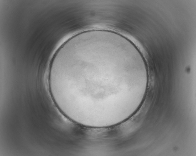 X0000116301294201001111109