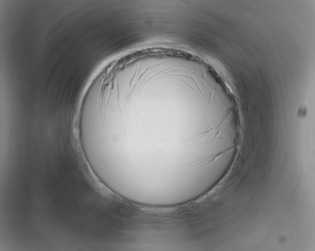 X0000116301296201001111109