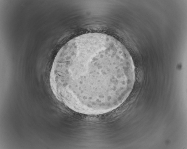 X0000116301297201001111109