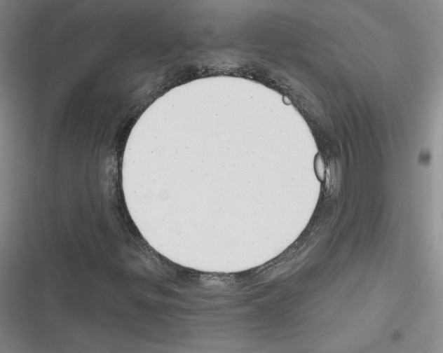 X0000116301299201001111109