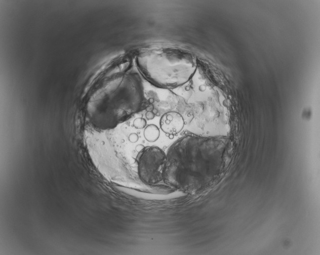 X0000116301302201001111109