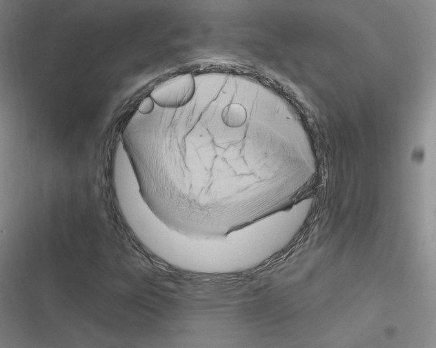 X0000116301303201001111109