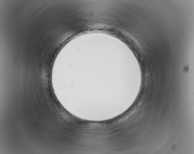 X0000116301305201001111109