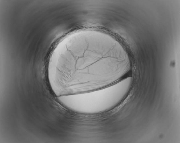 X0000116301306201001111109