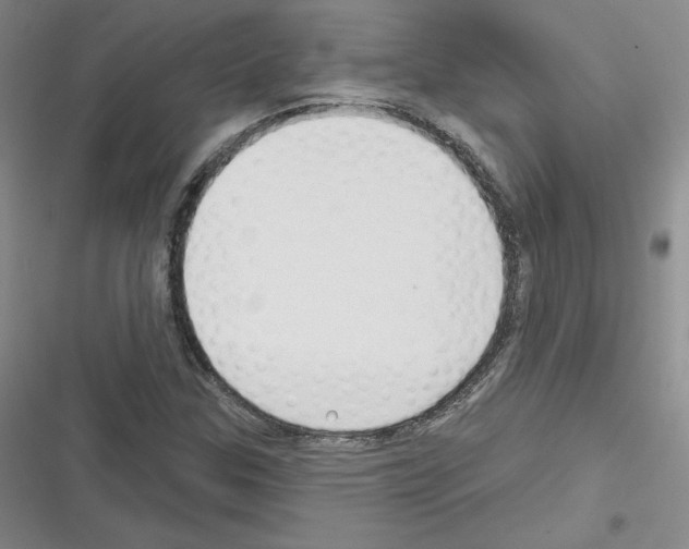 X0000116301307201001111109