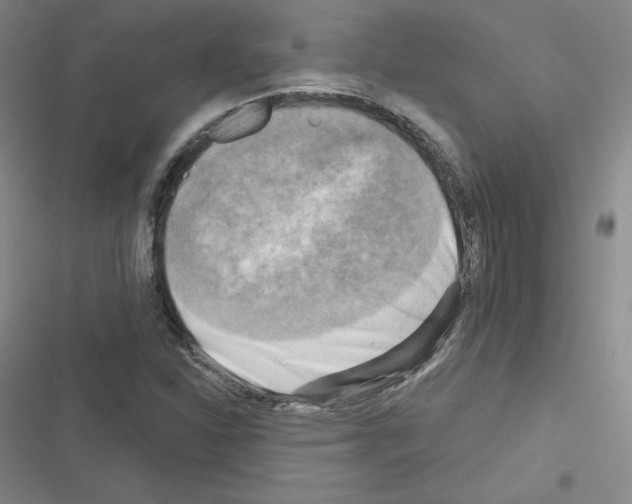 X0000116301310201001111109