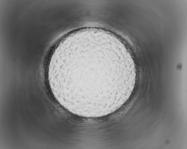 X0000116301311201001111109