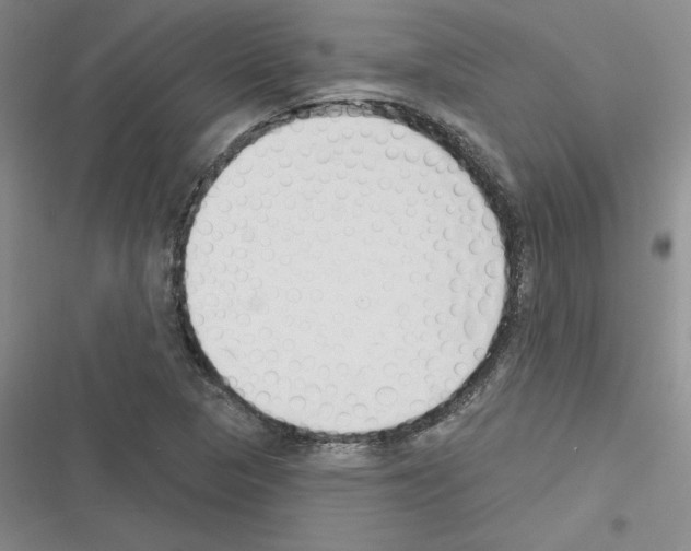 X0000116301313201001111109