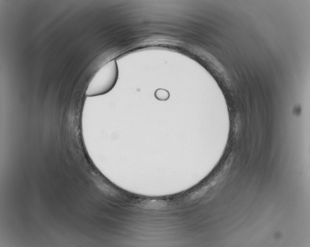 X0000116301321201001111109