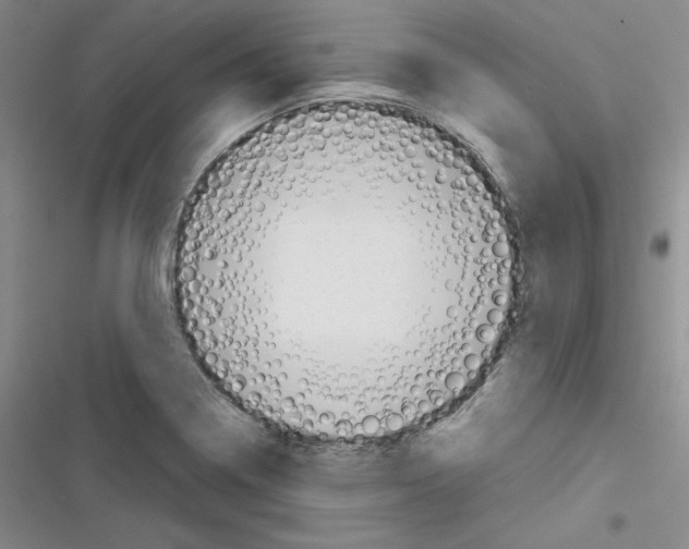 X0000116301322201001111109