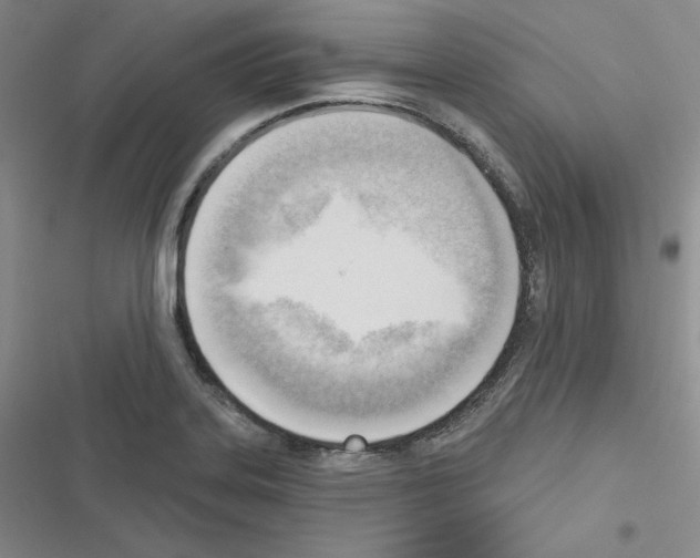 X0000116301323201001111109