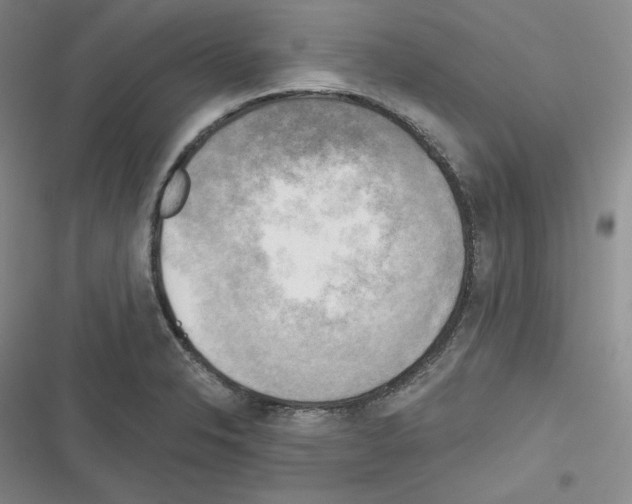 X0000116301326201001111109