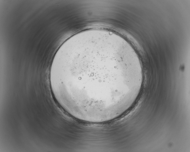 X0000116301329201001111109