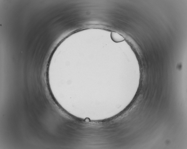 X0000116301333201001111109