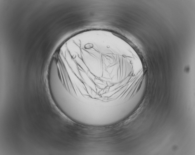 X0000116301334201001111109