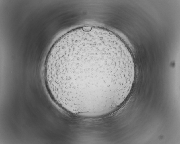 X0000116301335201001111109