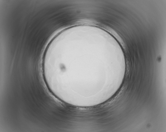 X0000116301339201001111109