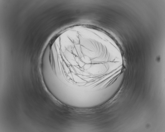 X0000116301342201001111109