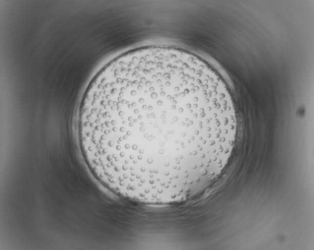 X0000116301343201001111109