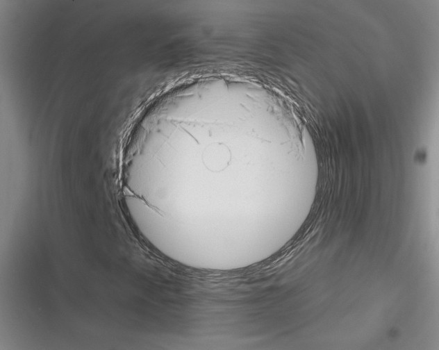 X0000116301345201001111109